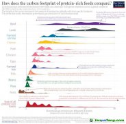 【數(shù)據(jù)】蛋白質(zhì)的碳足跡：什么食品的溫室氣體排放最少？
