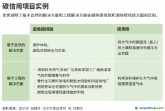 企業(yè)領導者為什么必須了解碳信用額？